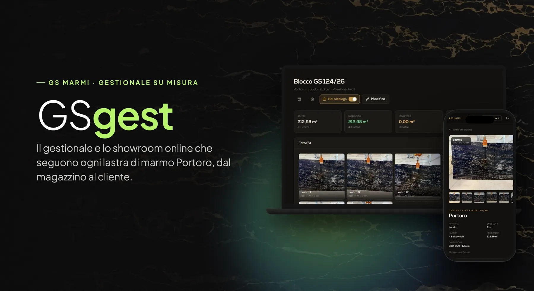 GSgest: copertina del progetto